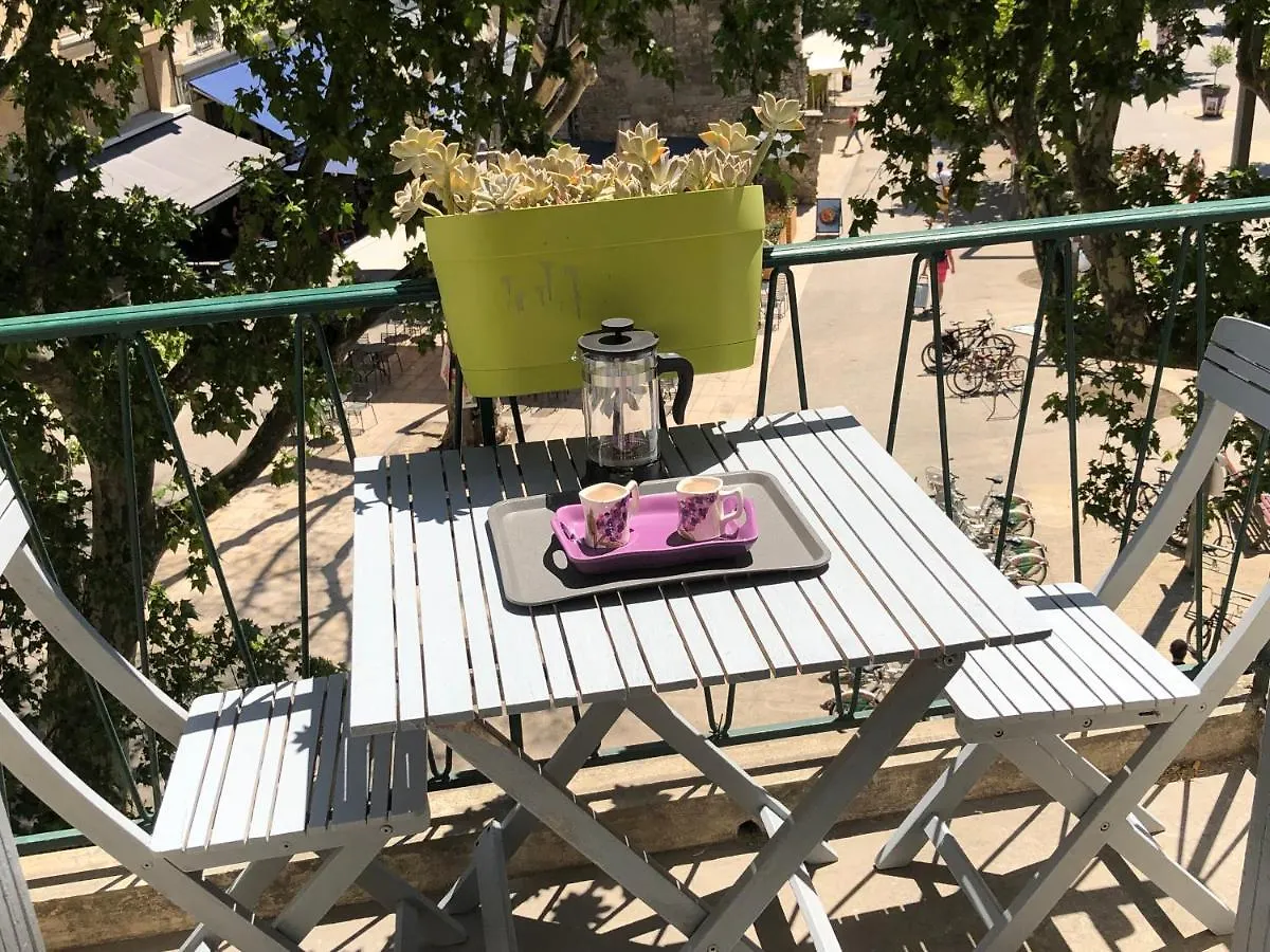 Appartement De Charme Avignon Centre Historique Terrasse Et Balcon Place Pie location